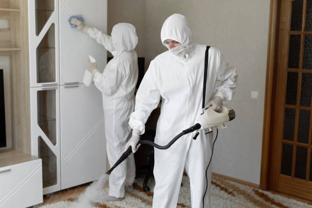 Best Mold Testing and Removal  in Fanwood, NJ