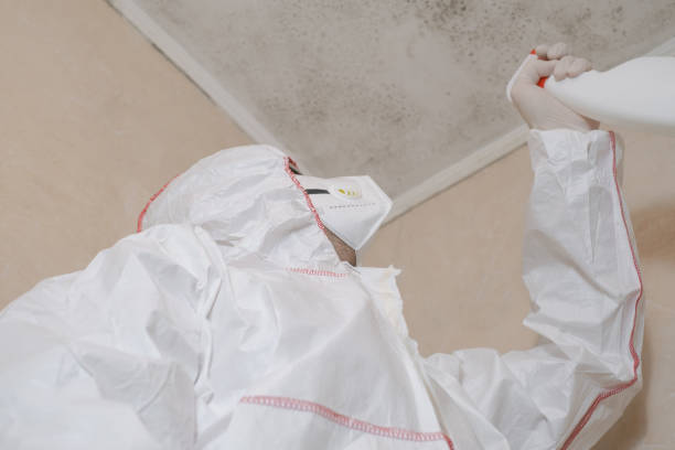  Fanwood, NJ Mold Removal Pros