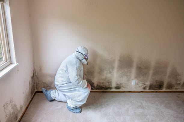 Best Mold Testing  in Fanwood, NJ